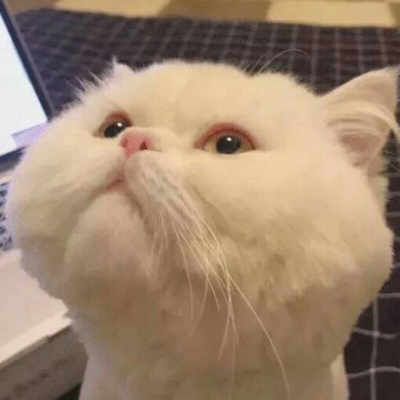 菲